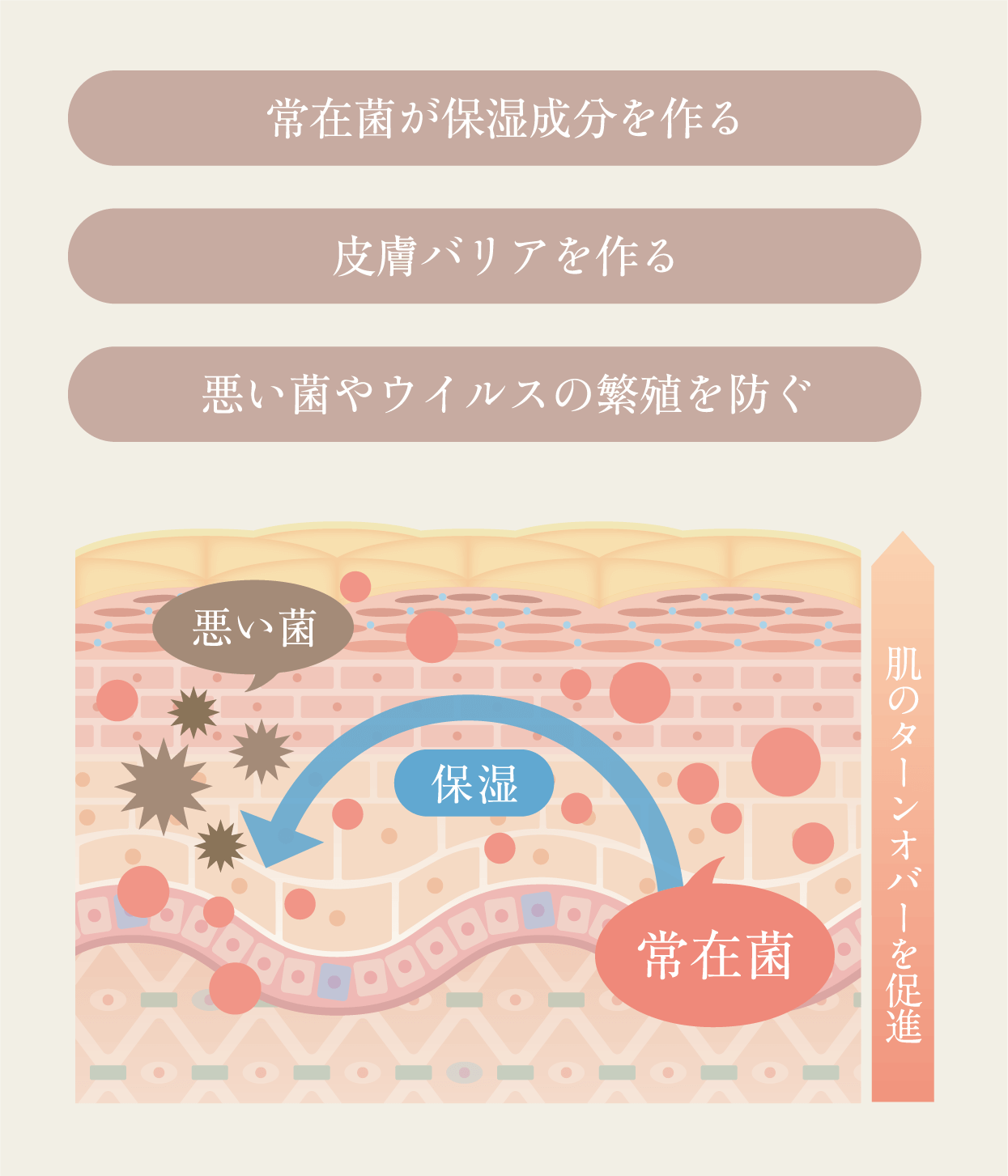 微生物育成シリーズ | 製品ラインナップ | JENIC JAPAN（ジェニック